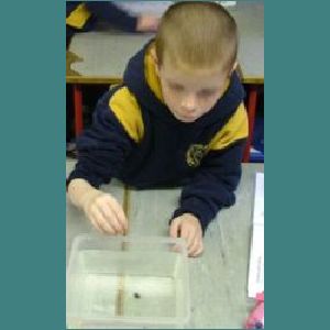 4th class water.jpg